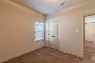 10844 Irish Glen Trail, Fort Worth, TX 76052 - Photo 34