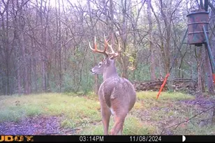 2375 Co Rd 3080, Ben Franklin, TX 75415 - Photo 40