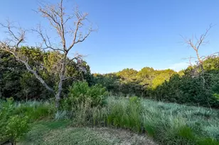 2401 Fox Ct, Granbury, TX 76048 - Photo 8