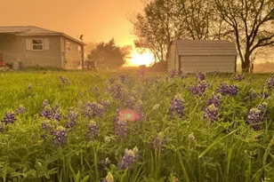 4410 FM118, Greenville, TX 75401 - Photo 2