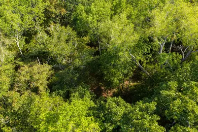 10446 Fm 859, Edgewood, TX 75117 - Photo 24