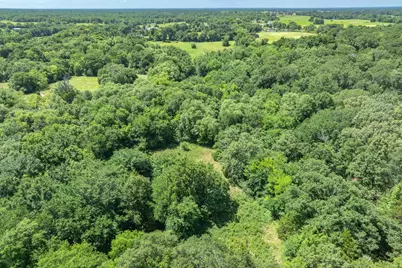 Lot 8 Rs County Road 1150, Emory, TX 75440 - Photo 4