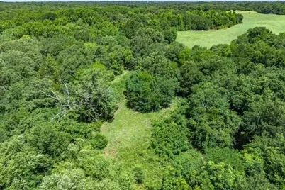 Lot 8 Rs County Road 1150, Emory, TX 75440 - Photo 8