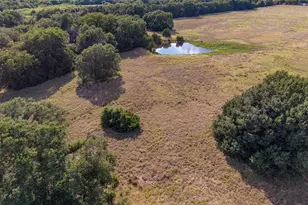 18705 Fm 709 N, Dawson, TX 76639 - Photo 12
