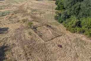 18705 Fm 709 N, Dawson, TX 76639 - Photo 10