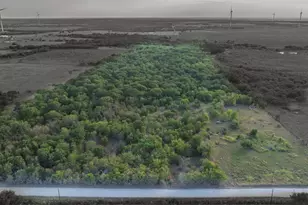 295 HCR 3240, Mount Calm, TX 76673 - Photo 1
