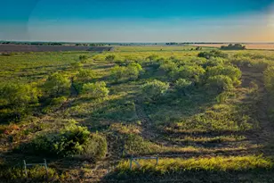 1640 FM 984, Avalon, TX 76623 - Photo 1