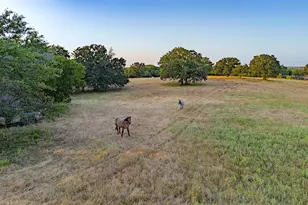 2403 Co Rd 2224, Decatur, TX 76234 - Photo 1