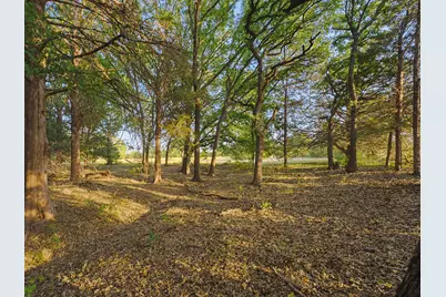 2403 County Road 2224, Decatur, TX 76234 - Photo 36
