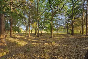 2403 Co Rd 2224, Decatur, TX 76234 - Photo 36