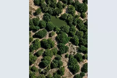 1394 County Road 313 Spur, Glen Rose, TX 76043 - Photo 20