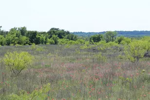 2077 A Shawver Rd, Perrin, TX 76486 - Photo 28