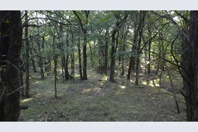 118 Dickey Road, Sadler, TX 76264 - Photo 26