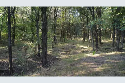 118 Dickey Road, Sadler, TX 76264 - Photo 28