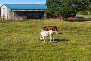 351 Rs County Rd 3378, Emory, TX 75440 - Photo 8