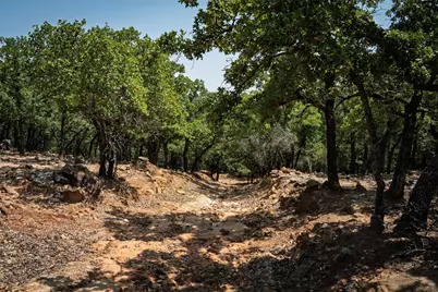 400 Pumphrey Road, Loving, TX 76460 - Photo 34