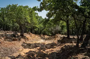400 Pumphrey Rd, Loving, TX 76460 - Photo 34