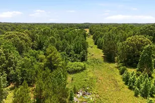 368 Co Rd 4960, Quitman, TX 75783 - Photo 12