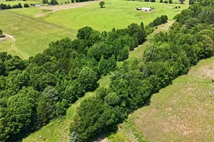 368 Co Rd 4960, Quitman, TX 75783 - Photo 20