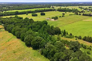 368 Co Rd 4960, Quitman, TX 75783 - Photo 16