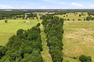 368 Co Rd 4960, Quitman, TX 75783 - Photo 22