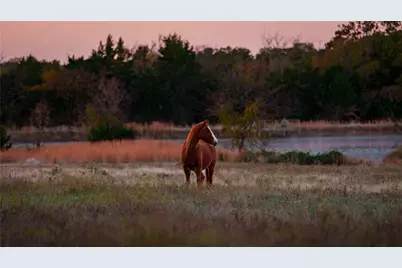 1210A County Road 232, Collinsville, TX 76233 - Photo 30