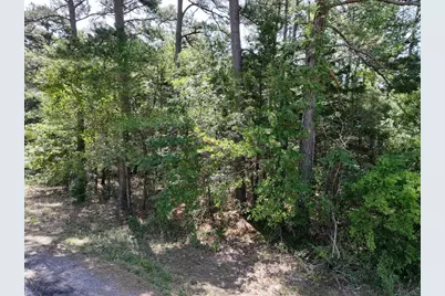 0 State Highway 154 W, Big Sandy, TX 75755 - Photo 2