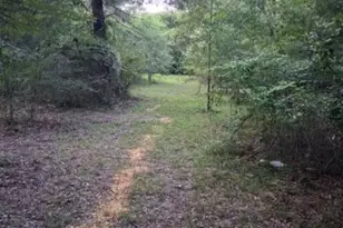 2965 Co Rd 1439, Sulphur Springs, TX 75482 - Photo 6