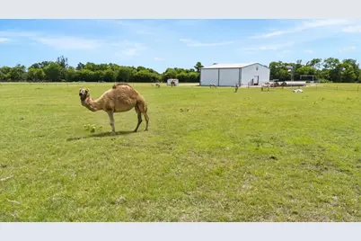 14705 County Road 545, Nevada, TX 75173 - Photo 32