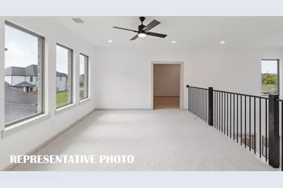 1125 Beebalm Mews, Celina, TX 75009 - Photo 4