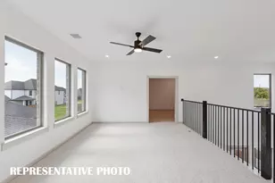 1125 Beebalm Mews, Celina, TX 75009 - Photo 4