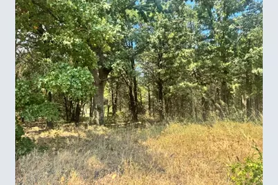 Tbd Pine Hills Lane, Gordonville, TX 76245 - Photo 1