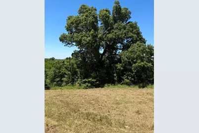 261 High Point Court, Athens, TX 75752 - Photo 4