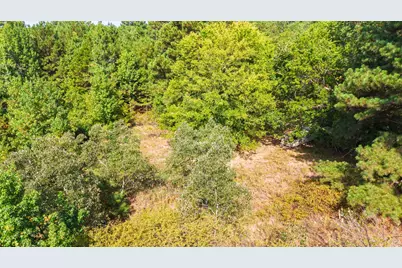 Tbd Fm 2225, Quitman, TX 75783 - Photo 10