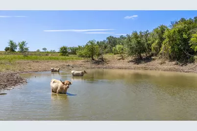 3575 County Road 522, Stephenville, TX 76401 - Photo 10