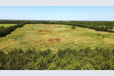 0 County Road 635, Blue Ridge, TX 75424 - Photo 2