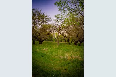 Lot 18 Firewheel, Graford, TX 76449 - Photo 6