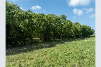Tbd Cr 1140, Lake Creek, TX 75432 - Photo 10