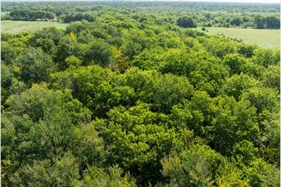 Tbd Cr 1140, Lake Creek, TX 75432 - Photo 12