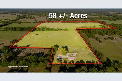 Tbd County Road 4990, Winnsboro, TX 75494 - Photo 4