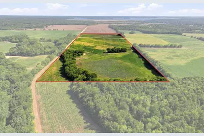 01 County Road 36980, Arthur City, TX 75411 - Photo 12