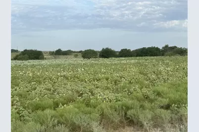 313 Private Road 4512, Decatur, TX 76234 - Photo 10