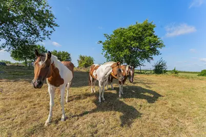 5634 County Road 1094, Celeste, TX 75423 - Photo 22