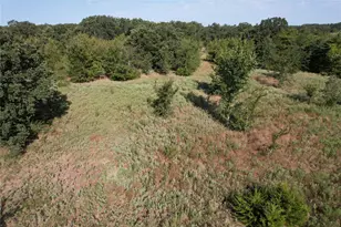 1799 Co Rd 4128, Cumby, TX 75433 - Photo 36