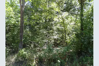 Lot 113 Westwood Drive, Trinidad, TX 75163 - Photo 14
