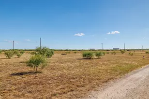 3126 S Fm 707, Tye, TX 79563 - Photo 38