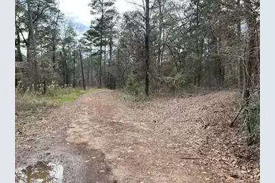 250 Private Road 8579, Winnsboro, TX 75494 - Photo 32