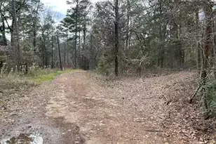 250 Private Rd 8579, Winnsboro, TX 75494 - Photo 32
