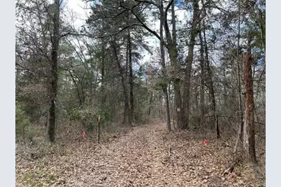 250 Private Road 8579, Winnsboro, TX 75494 - Photo 30