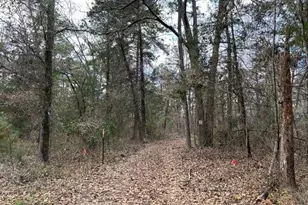 250 Private Rd 8579, Winnsboro, TX 75494 - Photo 30